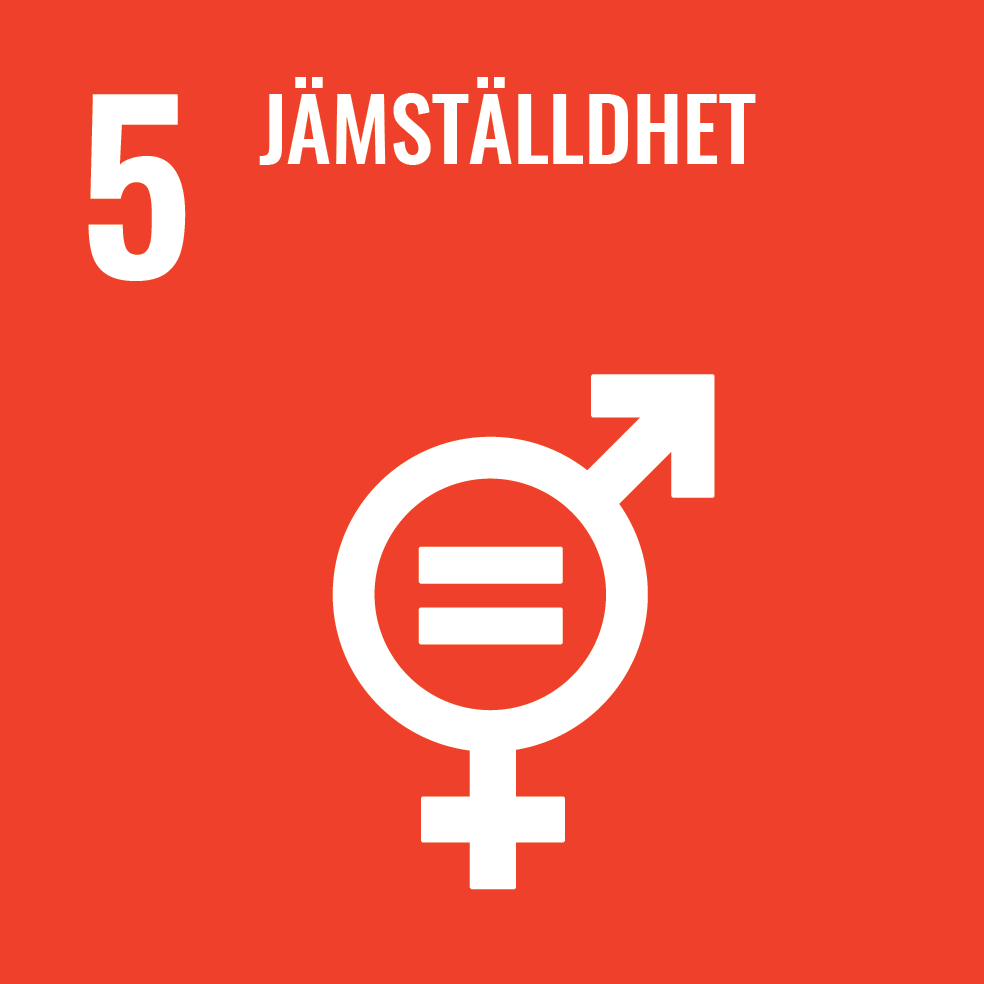 SDG 5: Jämställdhet