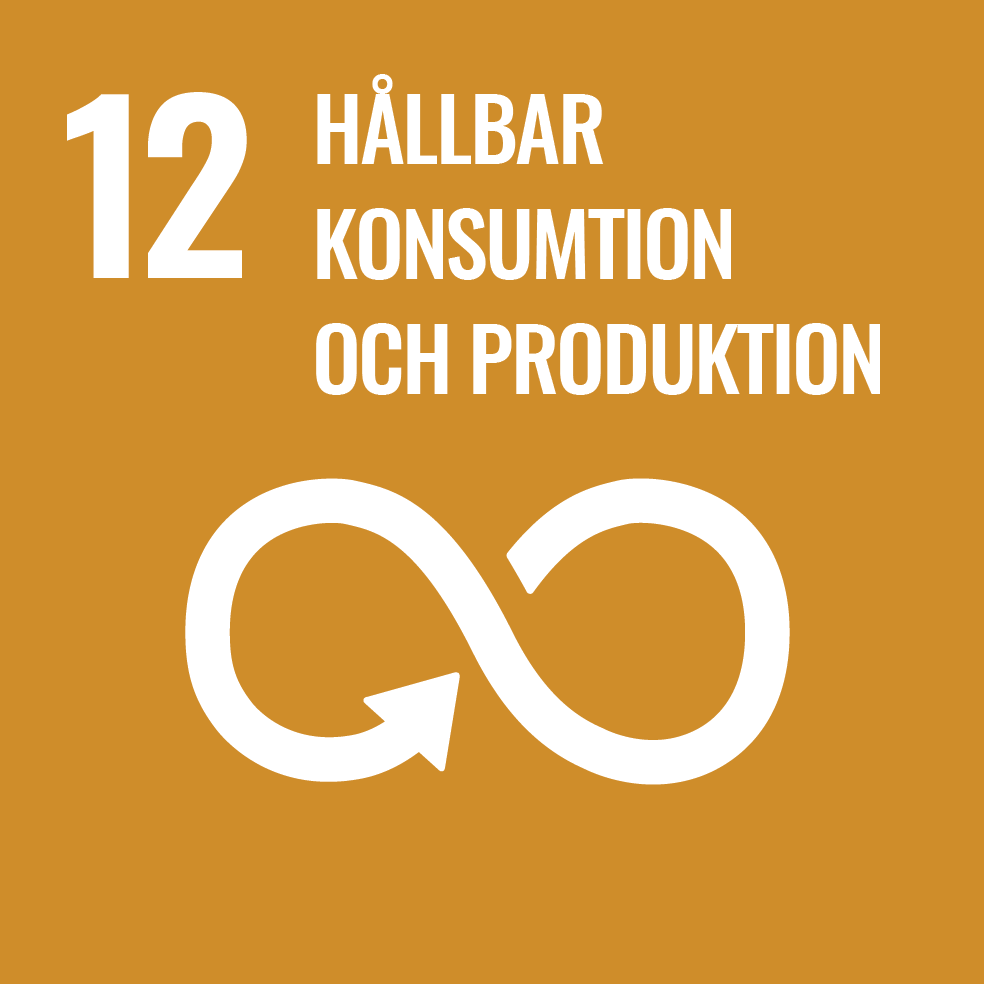 SDG 12: Hållbar konsumtion och produktion