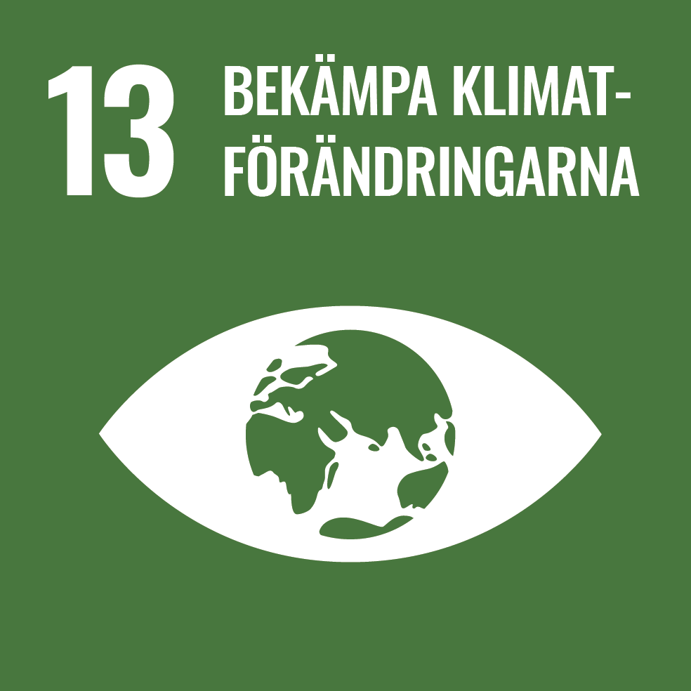 SDG 13: Bekämpa klimatförändringarna