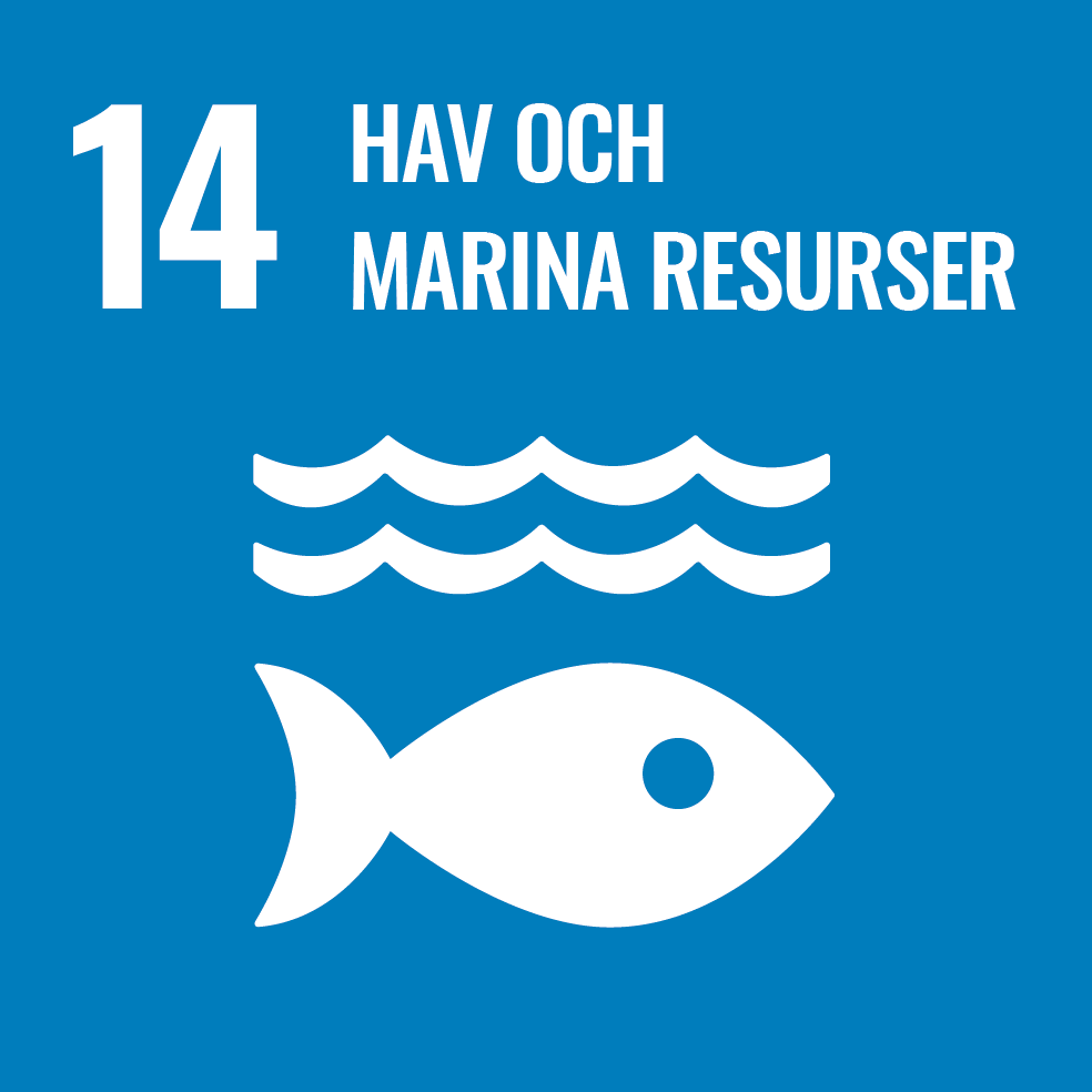 SDG 14: Hav och marina resurser